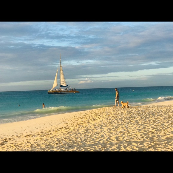 Meet your Posher, Yolanda - Picture 1 of 1